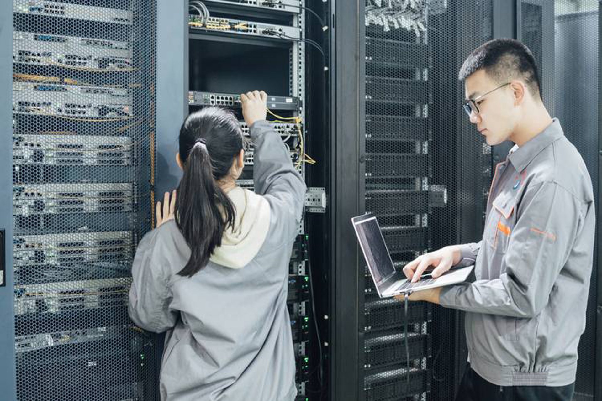 乐鼎网络科技